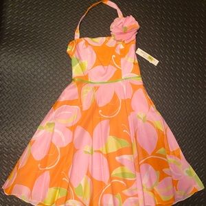 Maggy London size 8 short orange summer dress